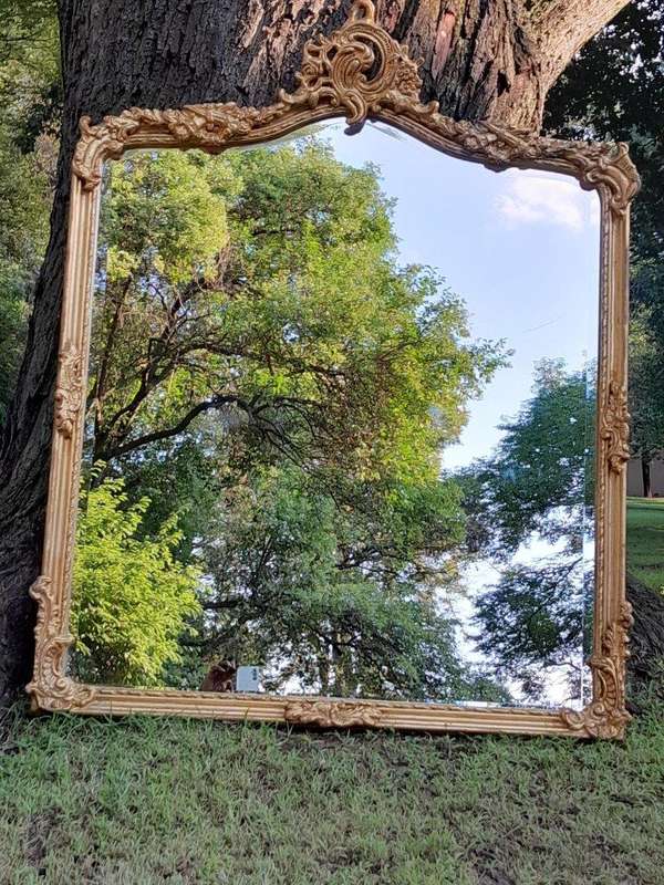 A French Rococo Style Ornately Carved and Gilded Bevelled Mirror 6
