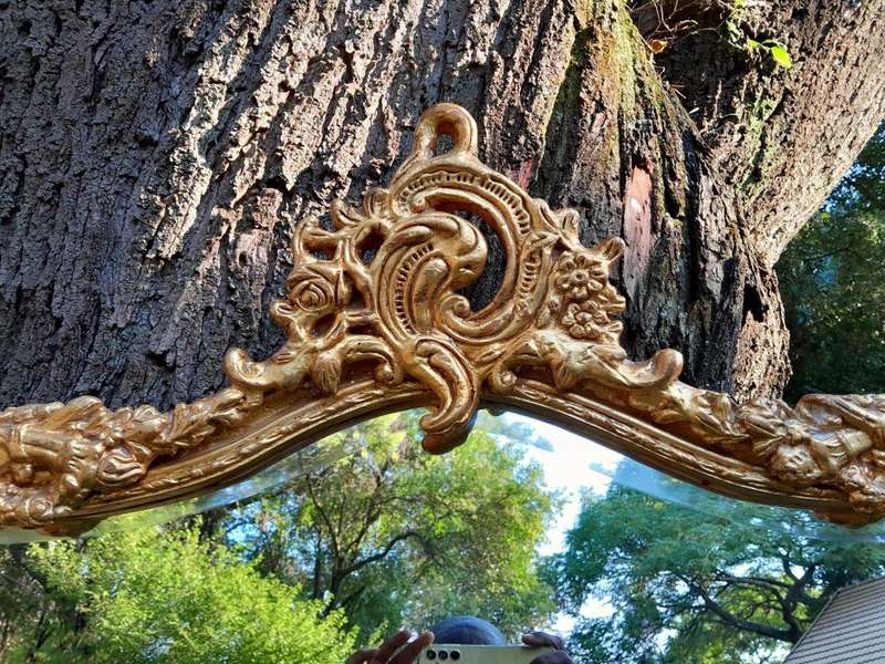 A French Rococo Style Ornately Carved and Gilded Bevelled Mirror 6