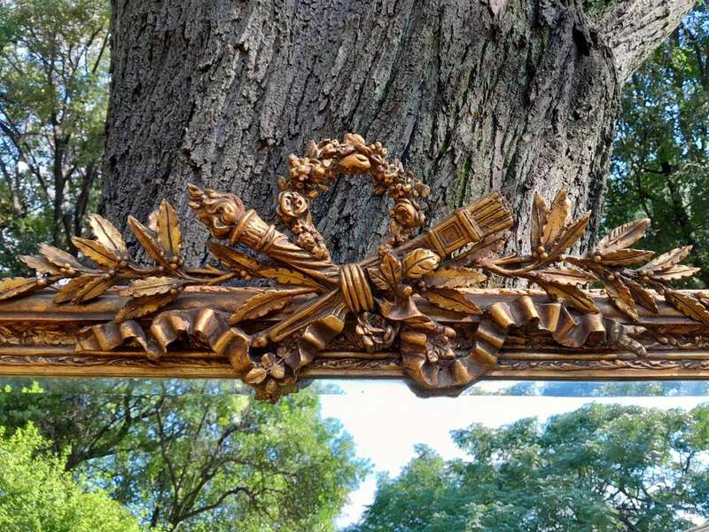 A French Style Ornately Carved and Gilded Bevelled Mirror