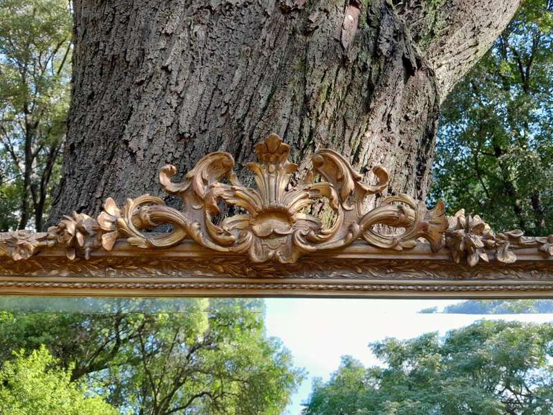 A French Style Ornately Carved and Gilded Bevelled Mirror