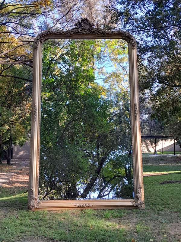 A Large French Style Ornately Carved and Gilded Bevelled Mirror