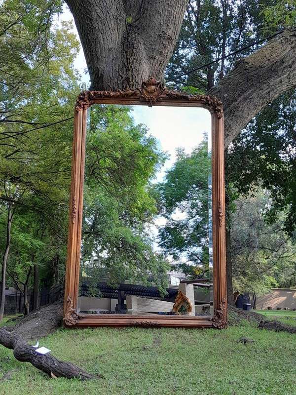 A Large French Style Ornately Carved and Gilded Bevelled Mirror