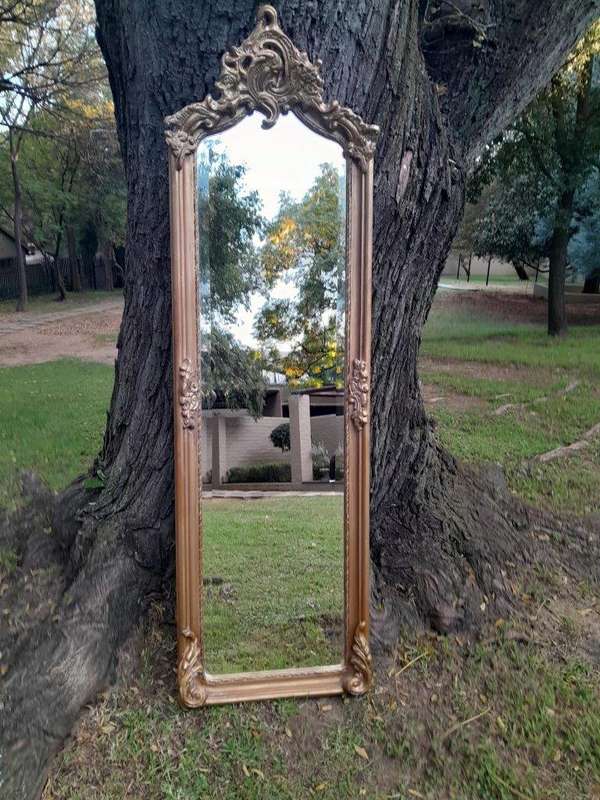 A French Rococo Style Ornately Carved and Gilded Bevelled Mirror