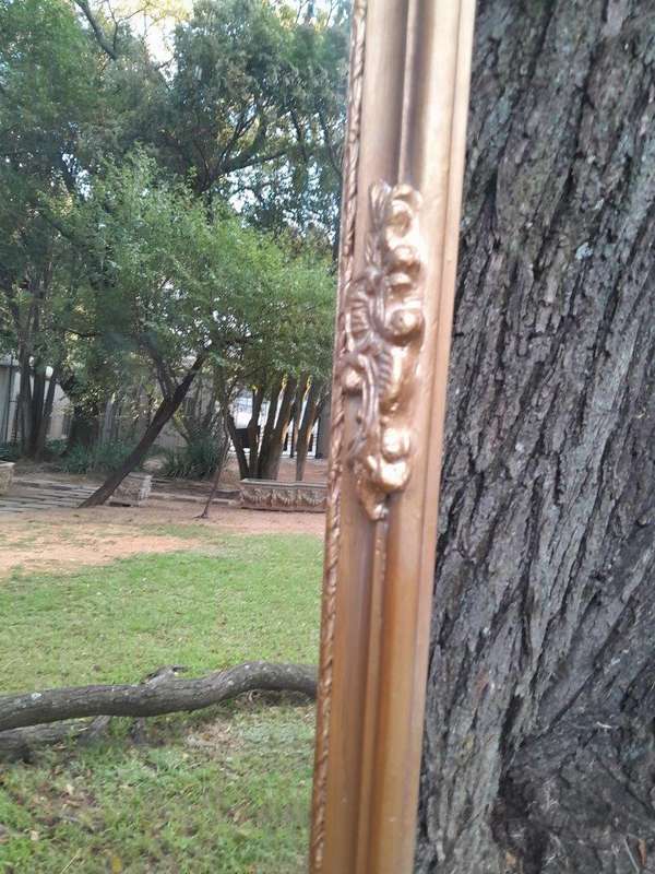 A French Rococo Style Ornately Carved and Gilded Bevelled Mirror
