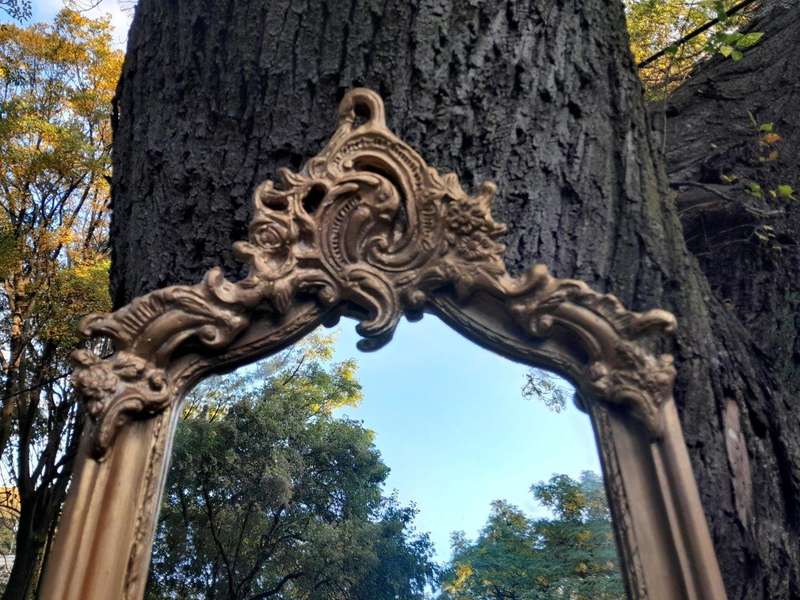A French Rococo Style Ornately Carved and Gilded Bevelled Mirror