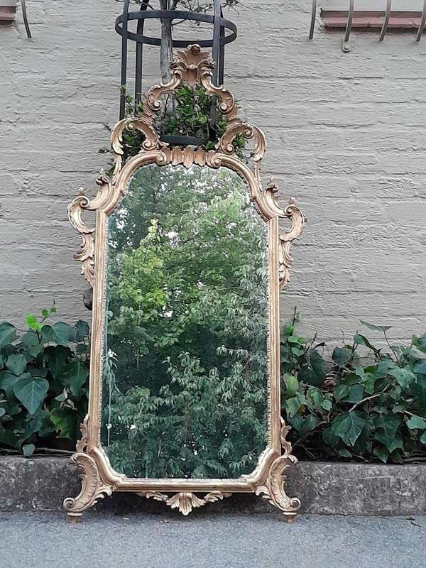 A 19th Century Rococo Style Ornately Carved Gilt Wood Mirror