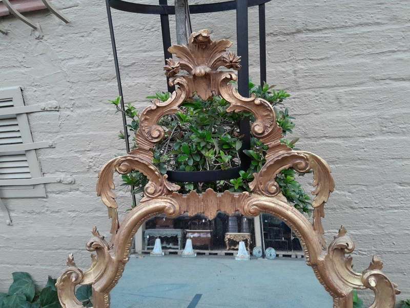 A 19th Century Rococo Style Ornately Carved Gilt Wood Mirror