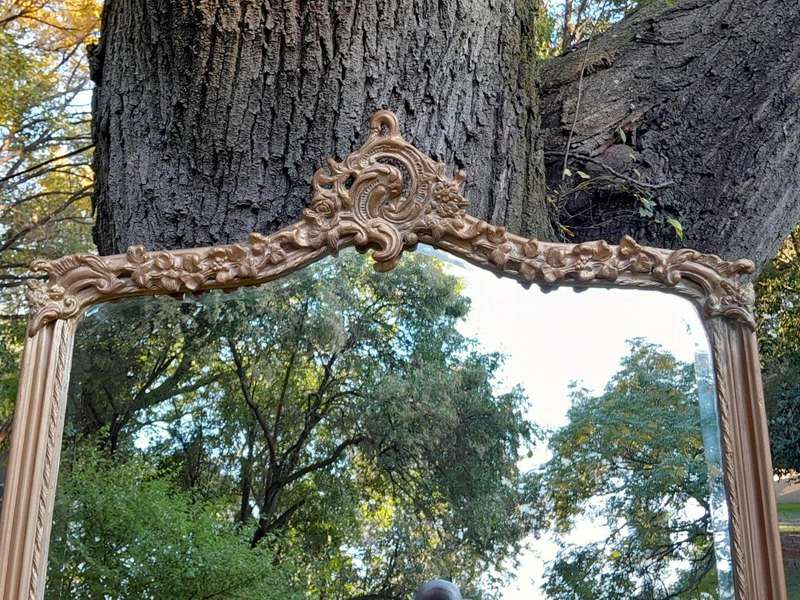 A French Style Ornately Carved and Gilded Bevelled Mirror of Large Proportions