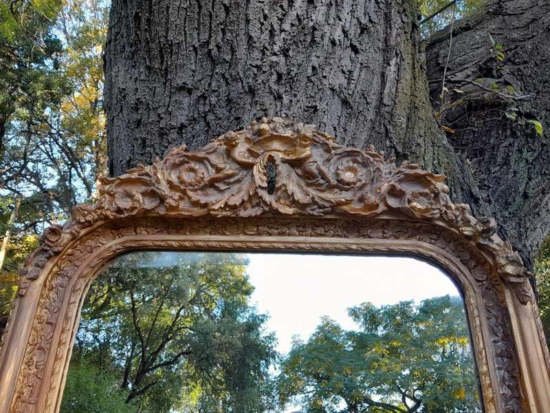 A French Rococo Style Ornately Carved & Gilded Bevelled Mirror