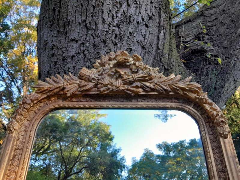A French Rococo Style Ornately Carved & Gilded Bevelled Mirror