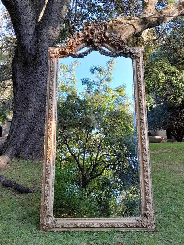 A French Rococo Style Ornately Carved & Gilded Bevelled Mirror