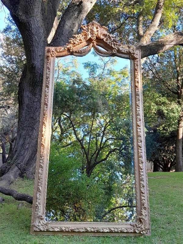 A French Rococo Style Ornately Carved & Gilded Bevelled Mirror