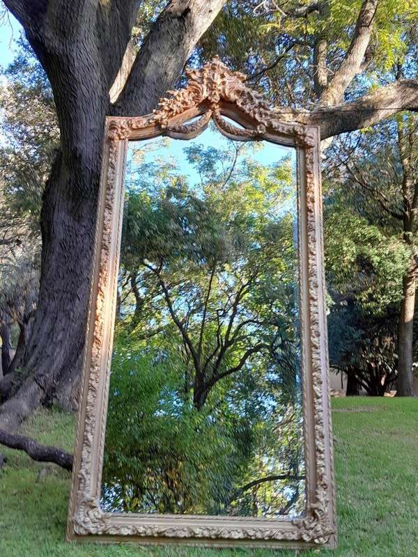 A French Rococo Style Ornately Carved & Gilded Bevelled Mirror