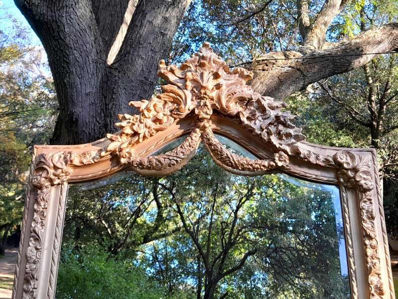 A French Rococo Style Ornately Carved & Gilded Bevelled Mirror