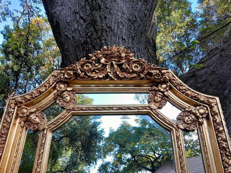A French Rococo Style Ornately Carved & Gilded Bevelled Mirror