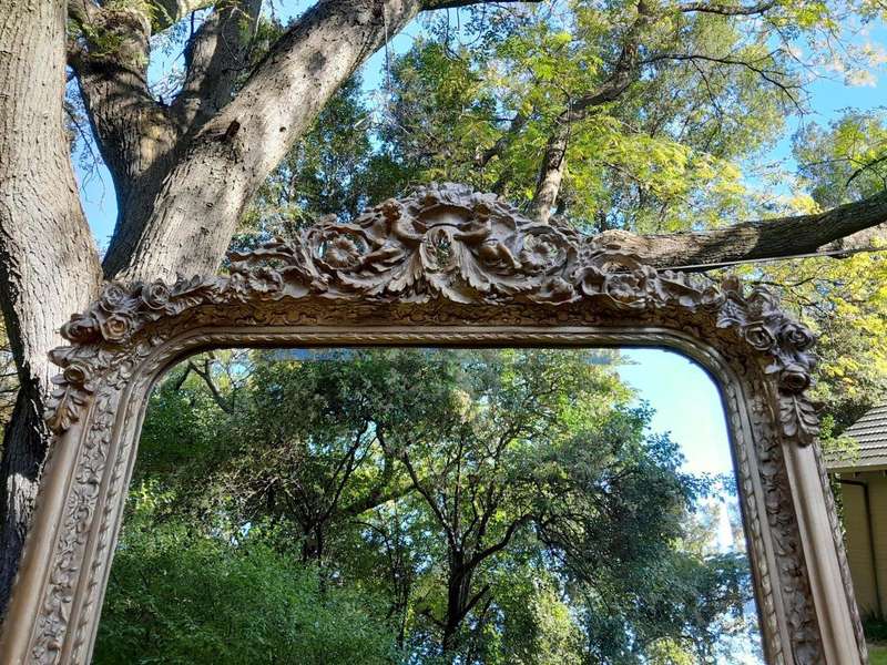 A French Rococo Style Ornately Carved & Gilded Bevelled Mirror