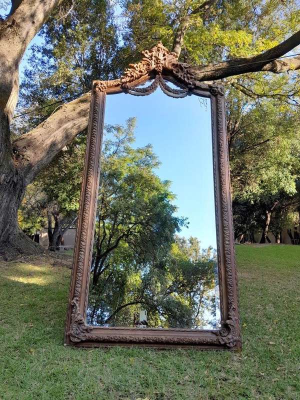 A French Rococo Style Ornately Carved & Gilded Bevelled Mirror
