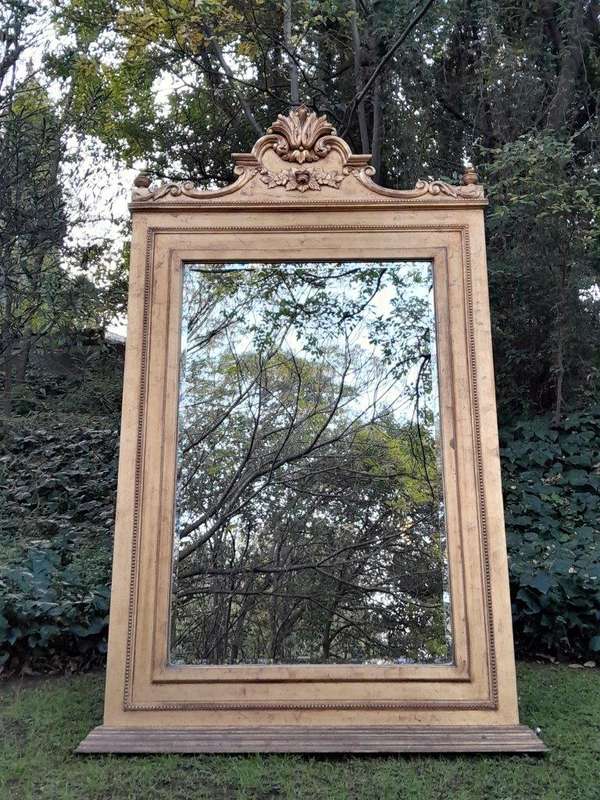 A Massive 20th Century French Style Ornately Carved and Gilded Bevelled Mirror