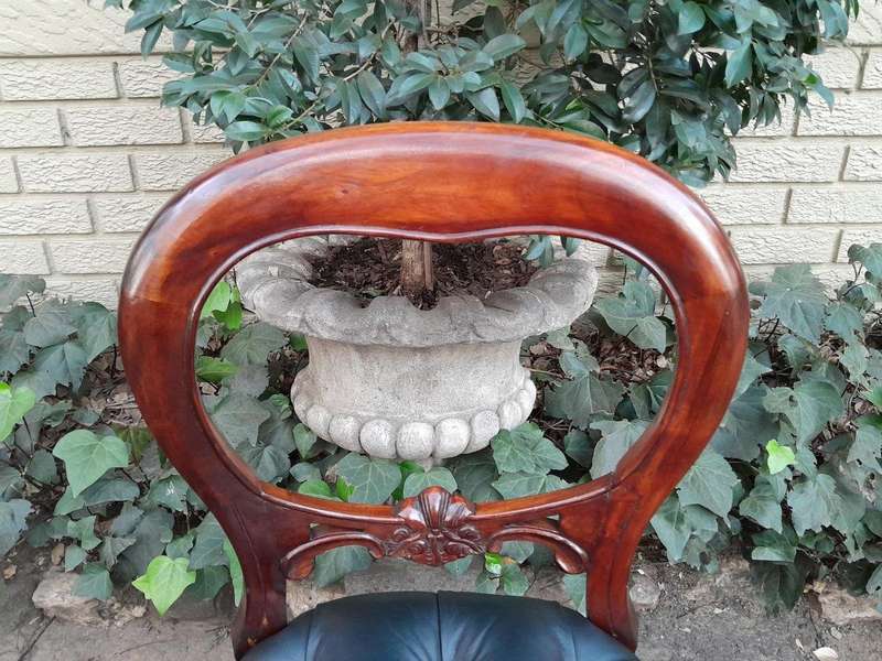 AS 20th Century Victorian Style Set of Twelve Bustle Back Dining Chairs Upholstered in Leather an...
