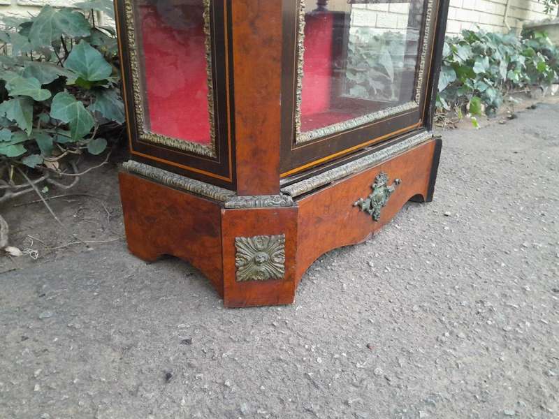 A 20th Century Victorian Mahogany And Ebonised Vitrine / Display Cabinet With Brass Mounts