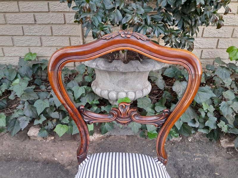 A 19th Century Circa 1880s Pair Of Victorian Mahogany Bustle Back Chairs