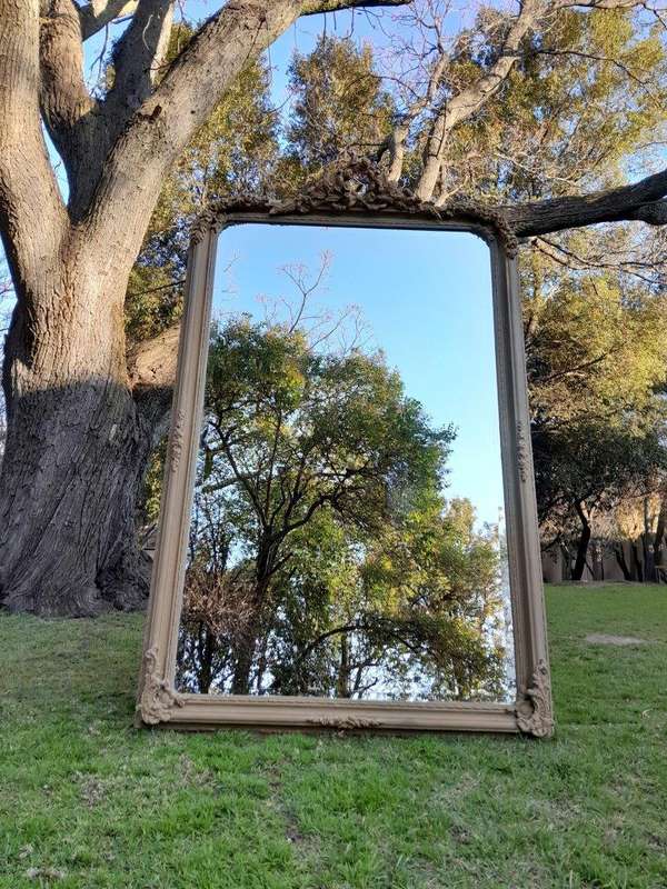 A French Style Ornately Carved Mirror in a Contemporary Finish