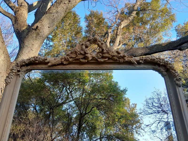 A French Style Ornately Carved Mirror in a Contemporary Finish