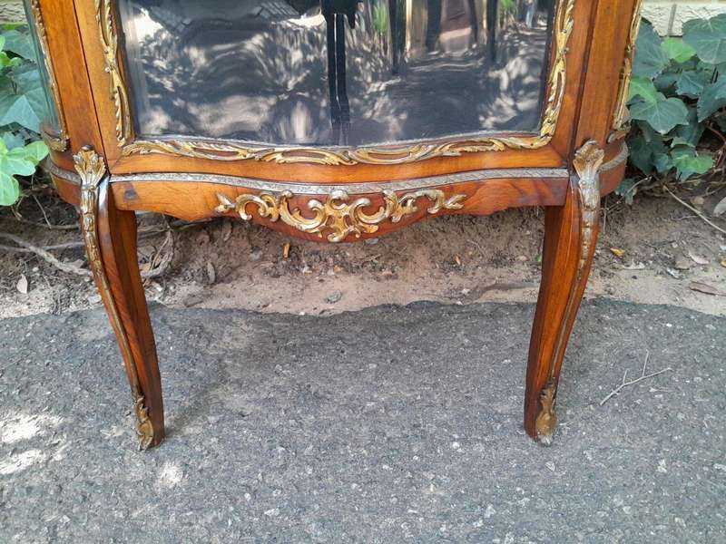 A 19TH Century French Vitrine With Glazed Doors