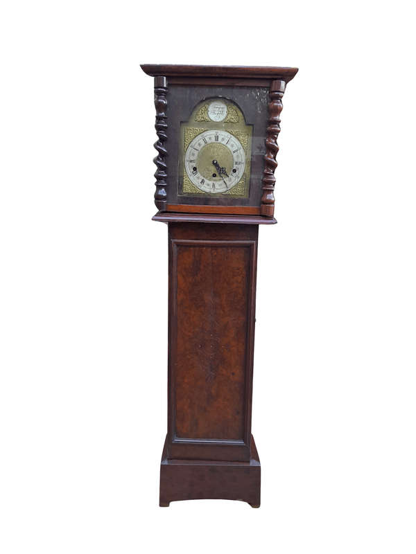 A 19th Century Burr-Walnut Tempus Fugit Clock with Pendulum and Key 