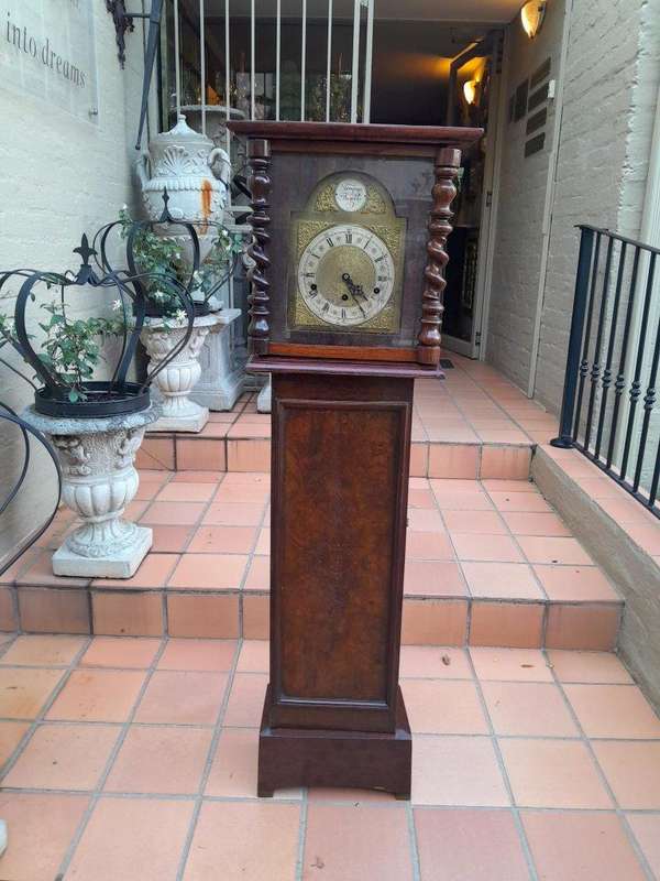 A 19th Century Burr-Walnut Tempus Fugit Clock with Pendulum and Key 
