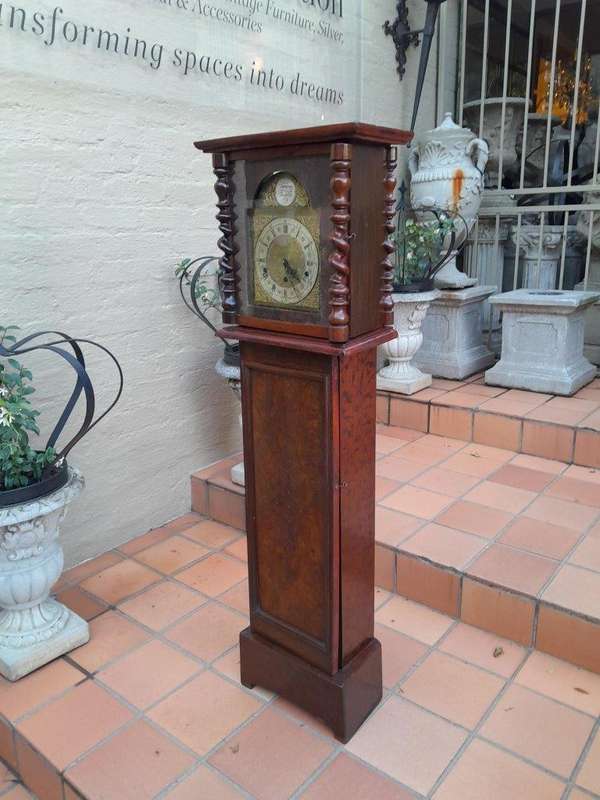 A 19th Century Burr-Walnut Tempus Fugit Clock with Pendulum and Key 