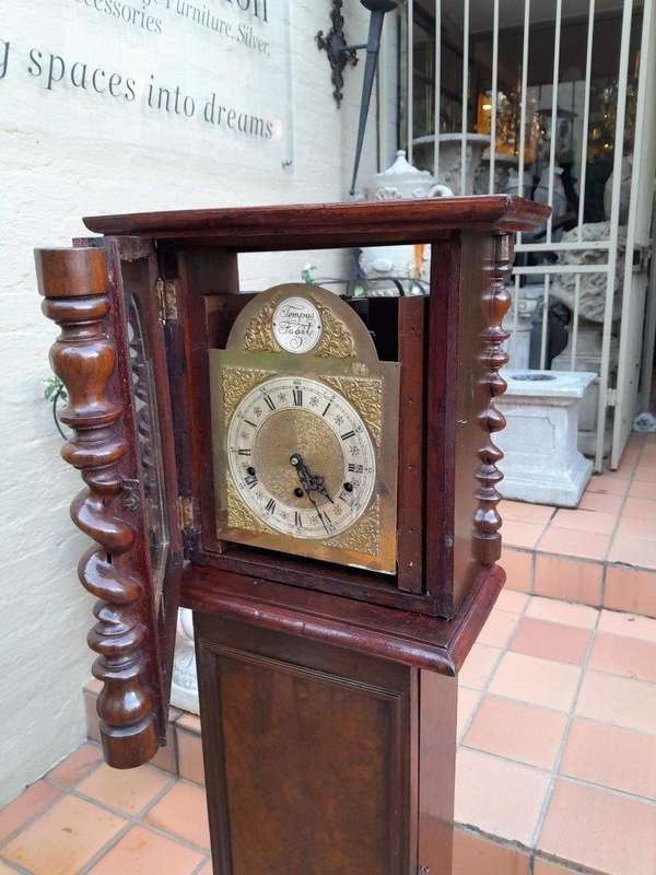 A 19th Century Burr-Walnut Tempus Fugit Clock with Pendulum and Key 