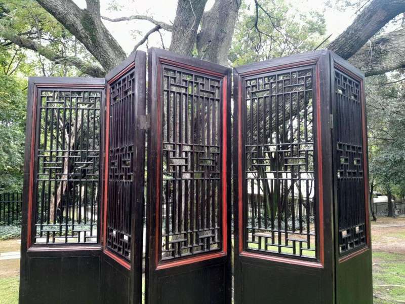 An Antique Chinese Qing Dynasty Elmwood Screen