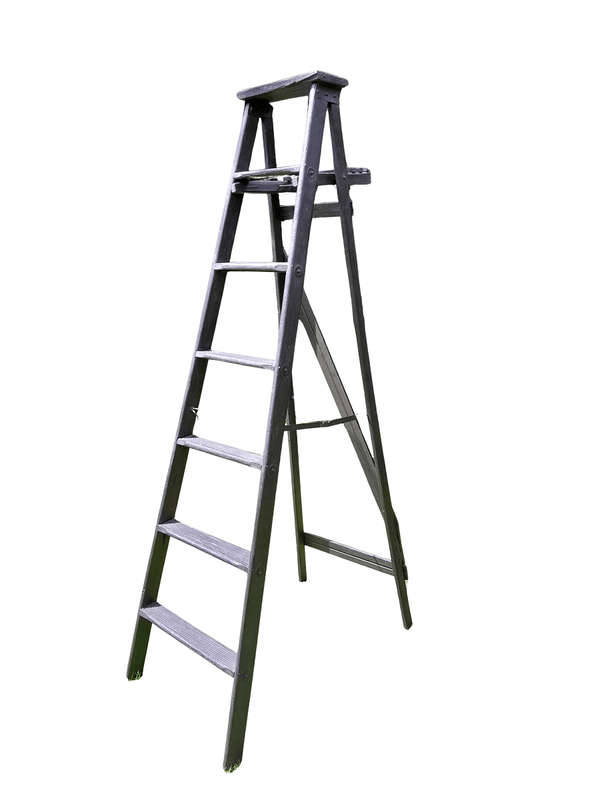 A 20th Century Painted Decorative Study / Library Ladder