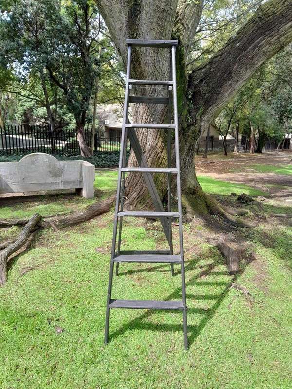 A 20th Century Painted Decorative Study / Library Ladder