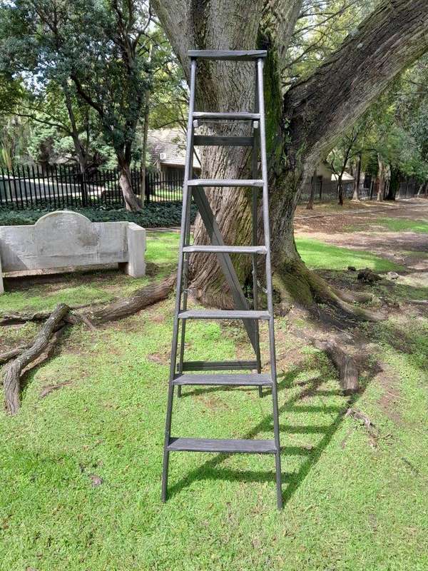 A 20th Century Painted Decorative Study / Library Ladder