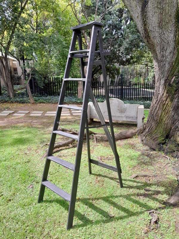 A 20th Century Painted Decorative Study / Library Ladder