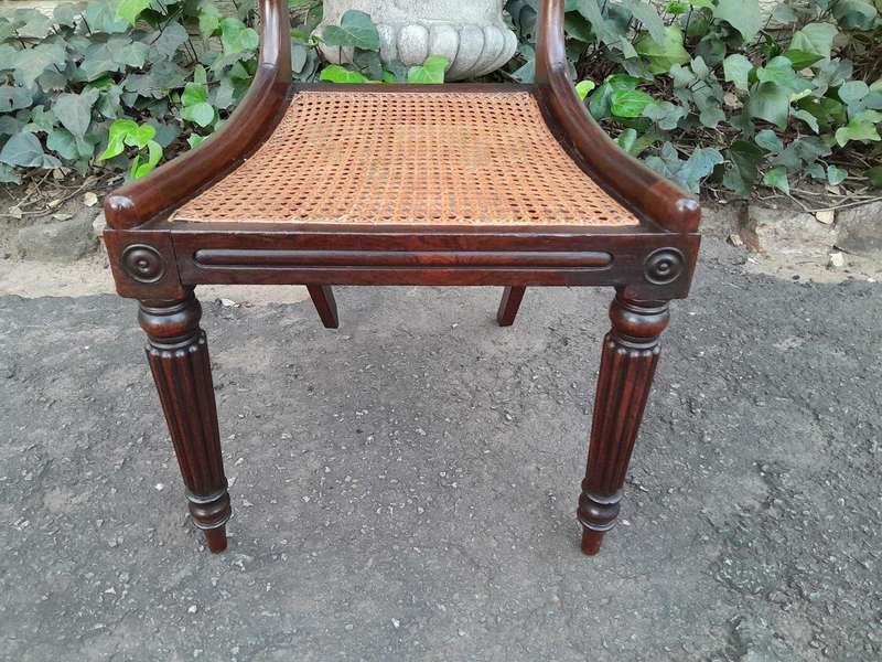 An Antique Regency Carved Rosewood Set Of Chairs With Rattan Seats And Upholstered Designer Fabri...