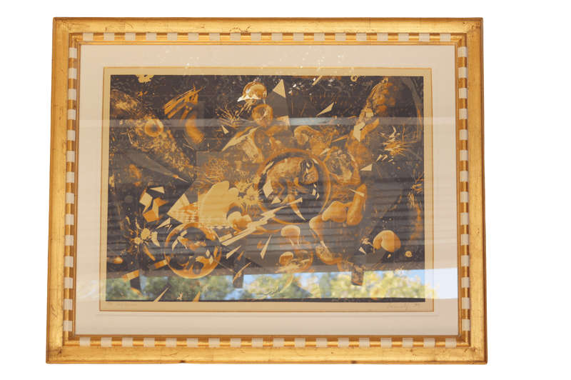 Hardy Botha Colour silkscreen abstract forms