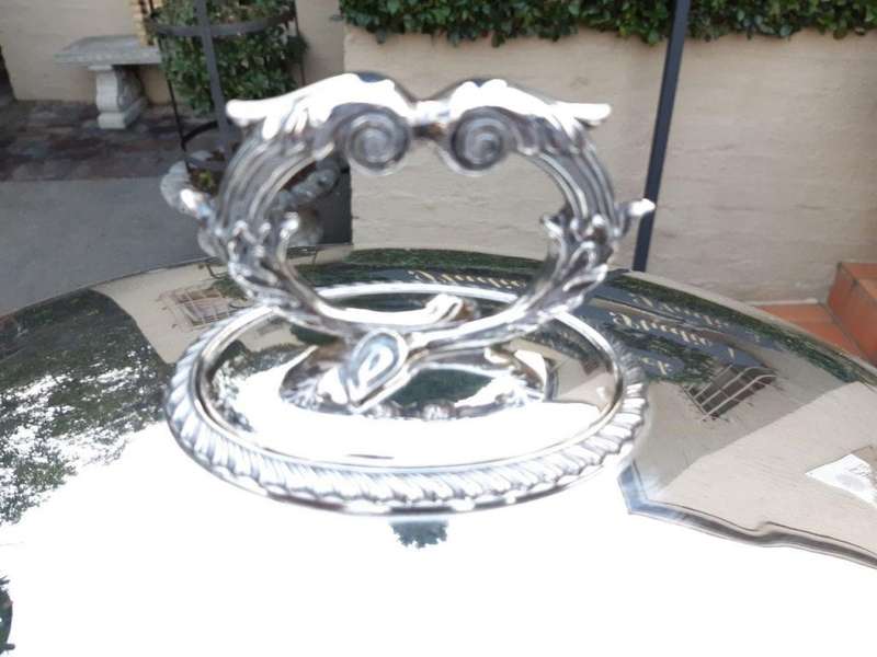 Silver-plate food dome