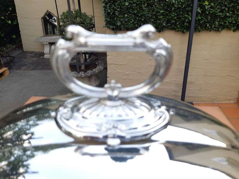 Silver-plate food dome