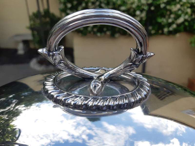 19th Century Silver- Plated Food Dome
