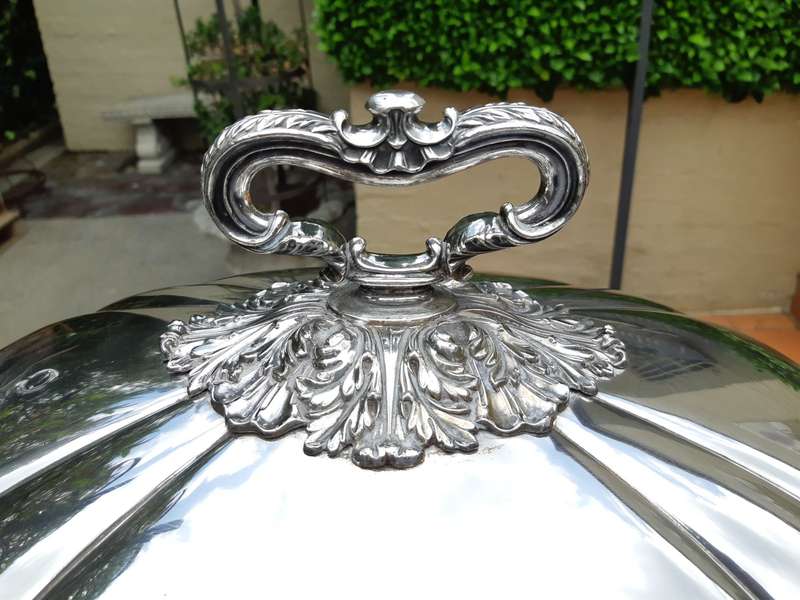 Large Silver-Plated Food Dome