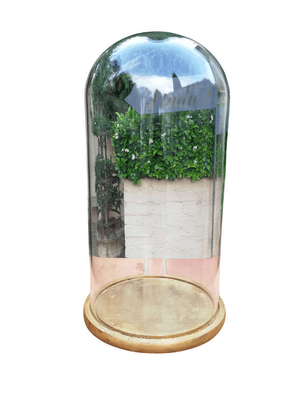 Extra Large Glass Cloche / Dome on Hand Gilded Wooden Base
