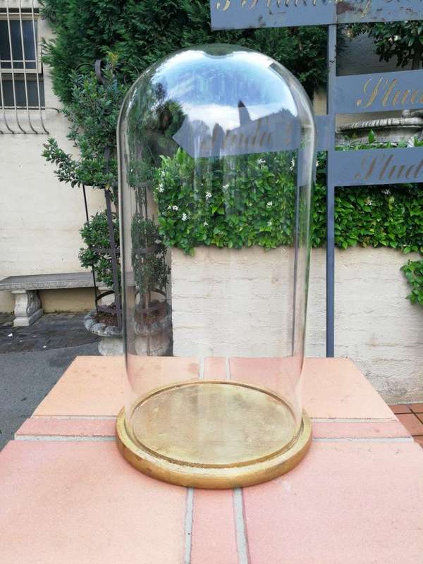 Extra Large Glass Cloche / Dome on Hand Gilded Wooden Base