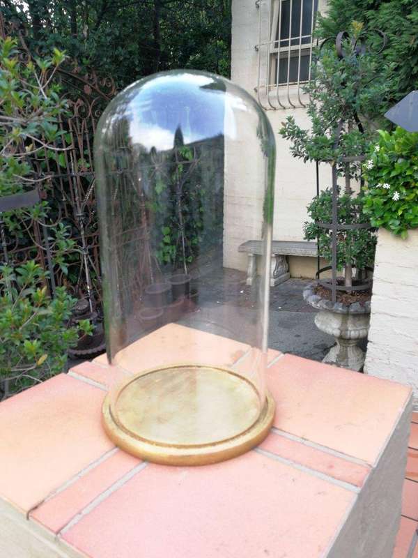 Extra Large Glass Cloche / Dome on Hand Gilded Wooden Base
