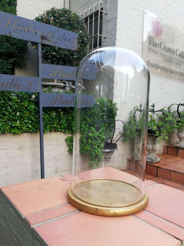Extra Large Glass Cloche / Dome on Hand Gilded Wooden Base