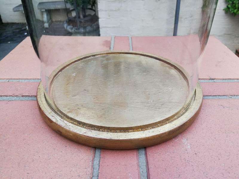 Extra Large Glass Cloche / Dome on Hand Gilded Wooden Base