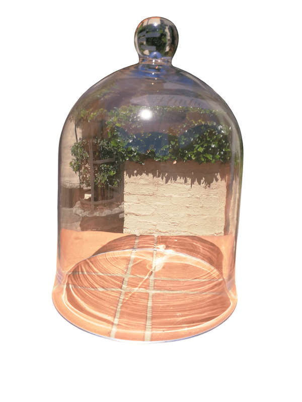 Glass Done Cloche Height 39,5cm