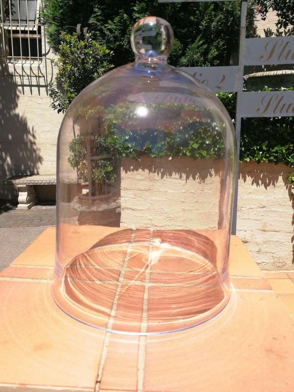 GLASS DOME Height 39,5cm